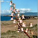 Gilda Alexander Photo 17