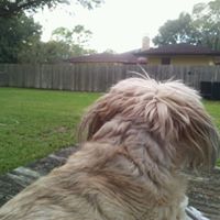Cody Stanley Photo 7