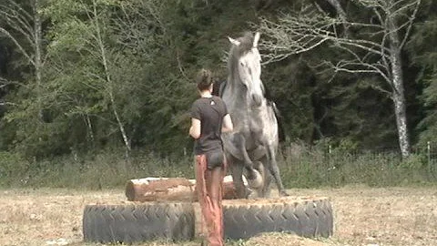 Jody Brimhall Photo 8