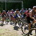 Jason Scherman Photo 14
