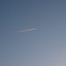 Christopher Haugh Photo 15