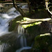 Richard Heinemann Photo 16