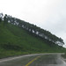 Ha Truong Photo 43