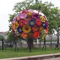 Patricia Krumm Photo 6