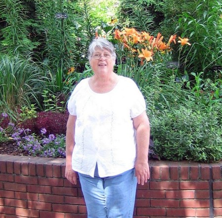 Sylvia Green Photo 18