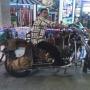 Nelson Reyes Photo 31