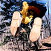 Paul Butts Photo 36