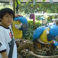 Quan Ho Photo 6