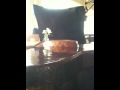 Richard Blunk Photo 11