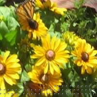 Paula Macdonald Photo 1