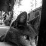 Kevin Bedard Photo 29