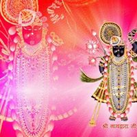 Dhruval Patel Photo 4