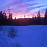 Oddrun Hansen Photo 3