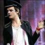 Peter Doherty Photo 31