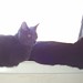 Kitty Lester Photo 14
