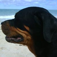 Scott Freitas Photo 8