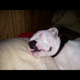 Nancy Middendorf Photo 5