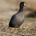 Elizabeth Coots Photo 18