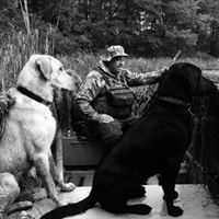 William Healey Photo 8