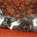 James Tribble Photo 34
