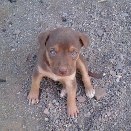 Perla Contreras Photo 12