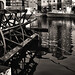 Dock Brown Photo 25