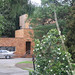 Roland Carter Photo 42