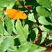 Julia Waters Photo 39