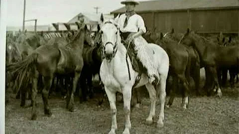 Roy Curtis Photo 32