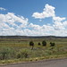 Roger Houck Photo 18