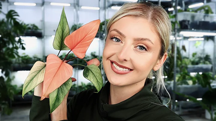 Ellen Keen Photo 19
