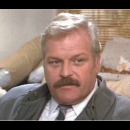 Brian Dennehy Photo 13