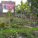 Allan Macdonald Photo 48