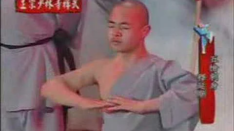 Zhong Zhao Photo 10