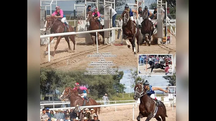 Manuel Caldera Photo 23