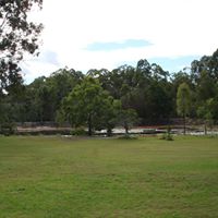 Trisha Wilkinson Photo 4