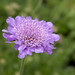 Gail Grande Photo 19