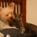 Tobin Bailey Photo 15