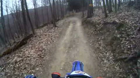 Jason Loree Photo 11
