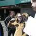 Jennifer Berk Photo 24