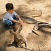 Richard Kangas Photo 19