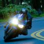 David Scheuer Photo 19