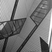 Michael Cohoon Photo 26