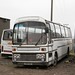 C G Photo 30