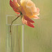 Rose Waters Photo 33