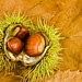 Autumn Sweet Photo 23