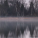 Kevin Birch Photo 37