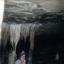Barbara Puckett Photo 21