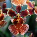 Susan Evans Photo 44