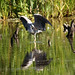 Chris Fairburn Photo 22